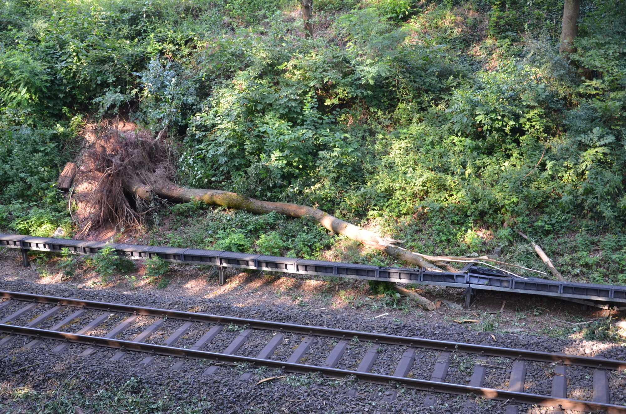 Sturmschäden einen Tag nach dem Unwetter (jbr)